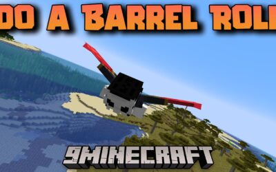 Do the Barrel Roll: A Vicissitudinous Voyage Through the Digital Ether