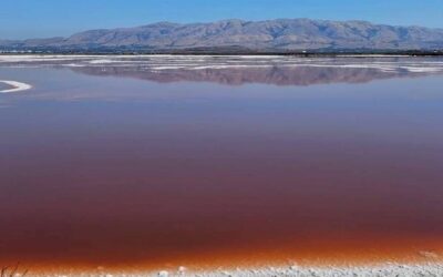 The Enchanting Pink Water Pond Santa Clara: A Natural Wonder