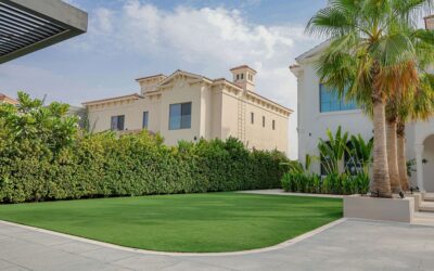 Sustainable Eco-Friendly Practices for Landscaping in Dubai Environments